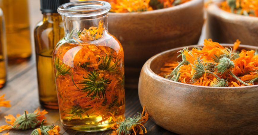 calendula oil